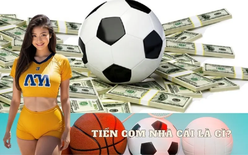 Tiền Com Nhà Cái Là Gì?